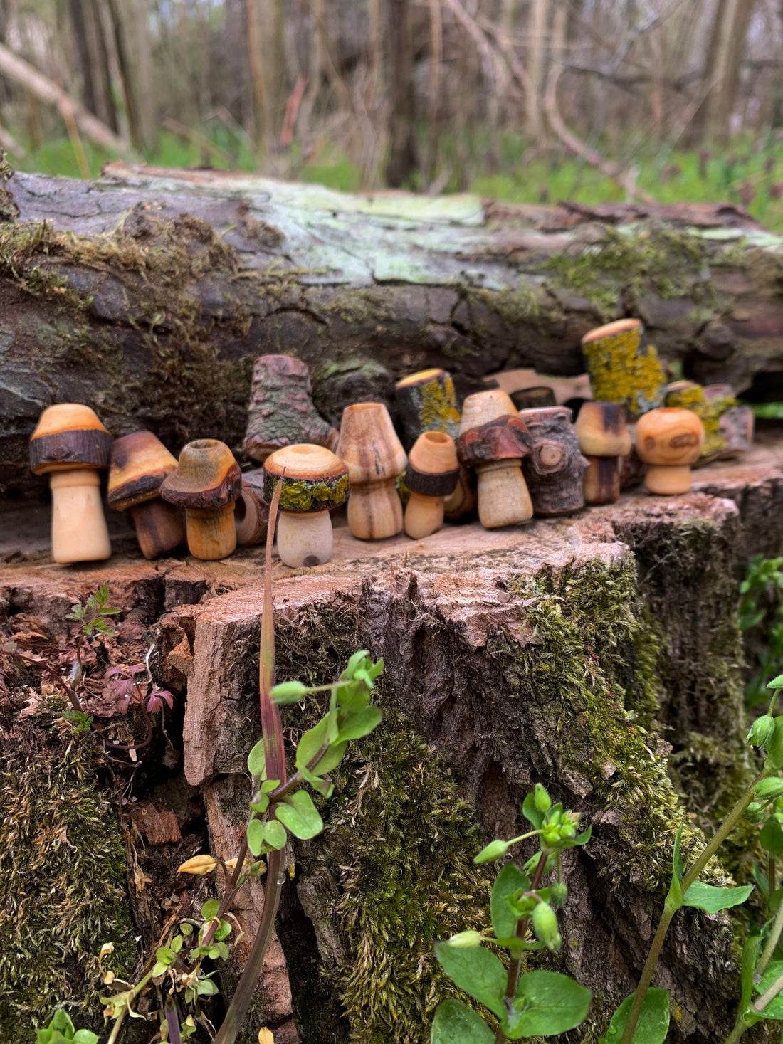 Natural bead assortment featuring forest-themed mushrooms, pine, and acacia beads