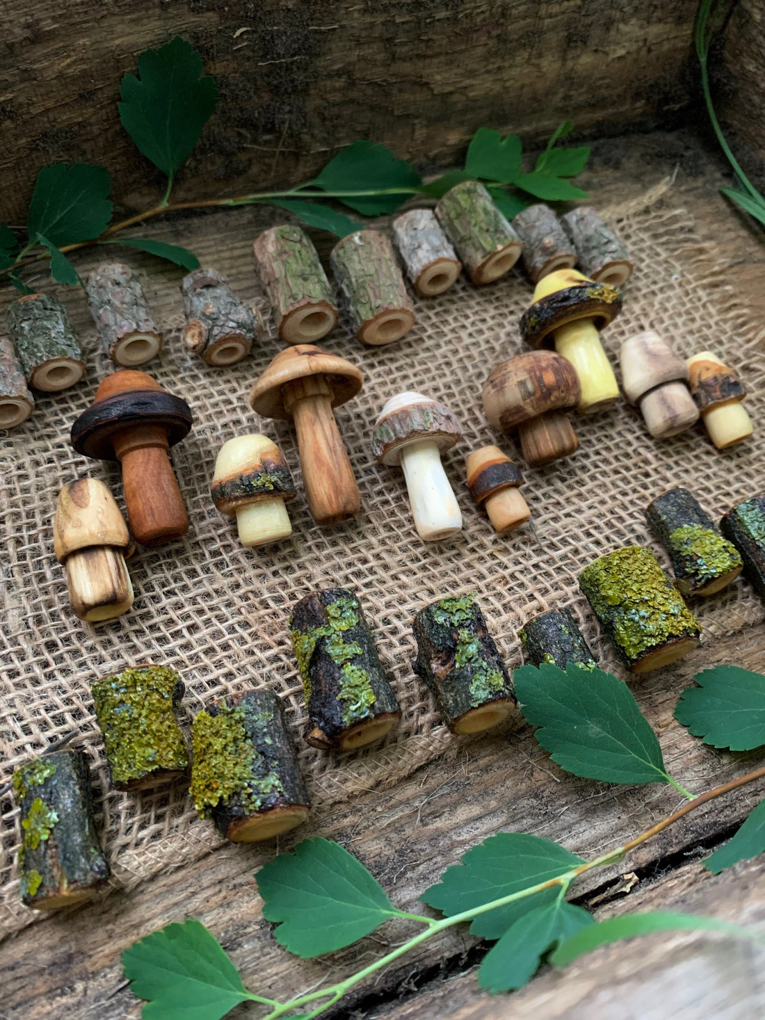 Forest wholesale set with 30 natural beads, including mushrooms, pine, and acacia fungi