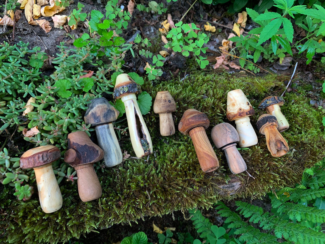 Unique collection of 10 Diez Hongos mushrooms, each made to order